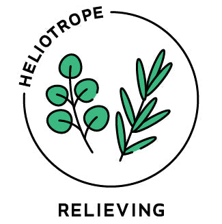 Essential Oil Blend Relieving (Eucalyptus Rosemary)-0