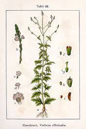 Essential Oil Blend Encouraging (Verbena Lemon)-1