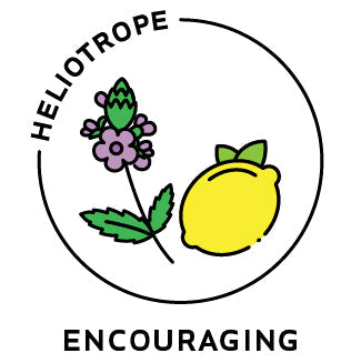 Essential Oil Blend Encouraging (Verbena Lemon)-0
