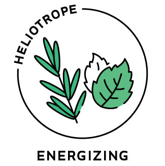 Essential Oil Blend Energizing (Rosemary Mint)-0