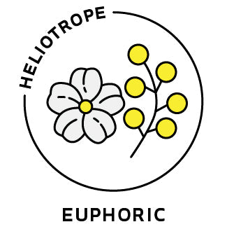 Essential Oil Blend Euphoric (Jasmine Mimosa)-0