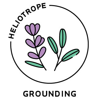 Essential Oil Blend Grounding (Lavender Sage)-0