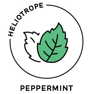 Essential Oil - Peppermint-0