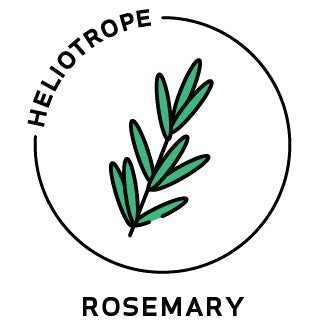 Essential Oil - Rosemary-0